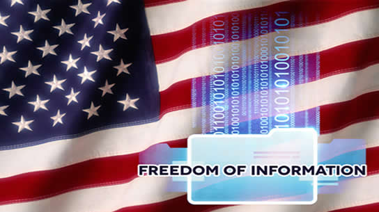 FREEDOM OF INFORMATION ACT (FOIA) SUPPORT SERVICES